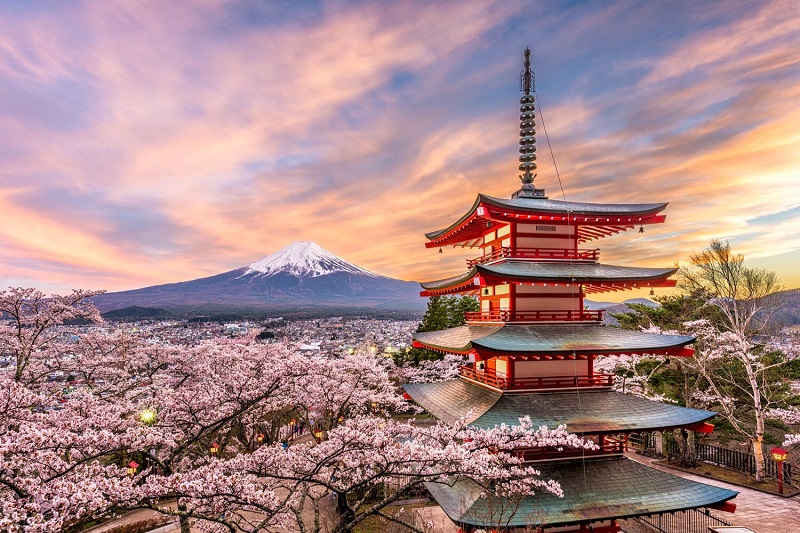 Japonya Turları