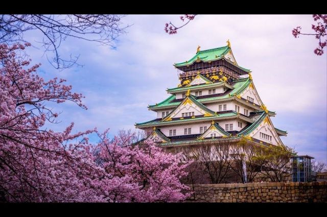 Thy Ile Grand Japonya Kore Turu NRT-ICN