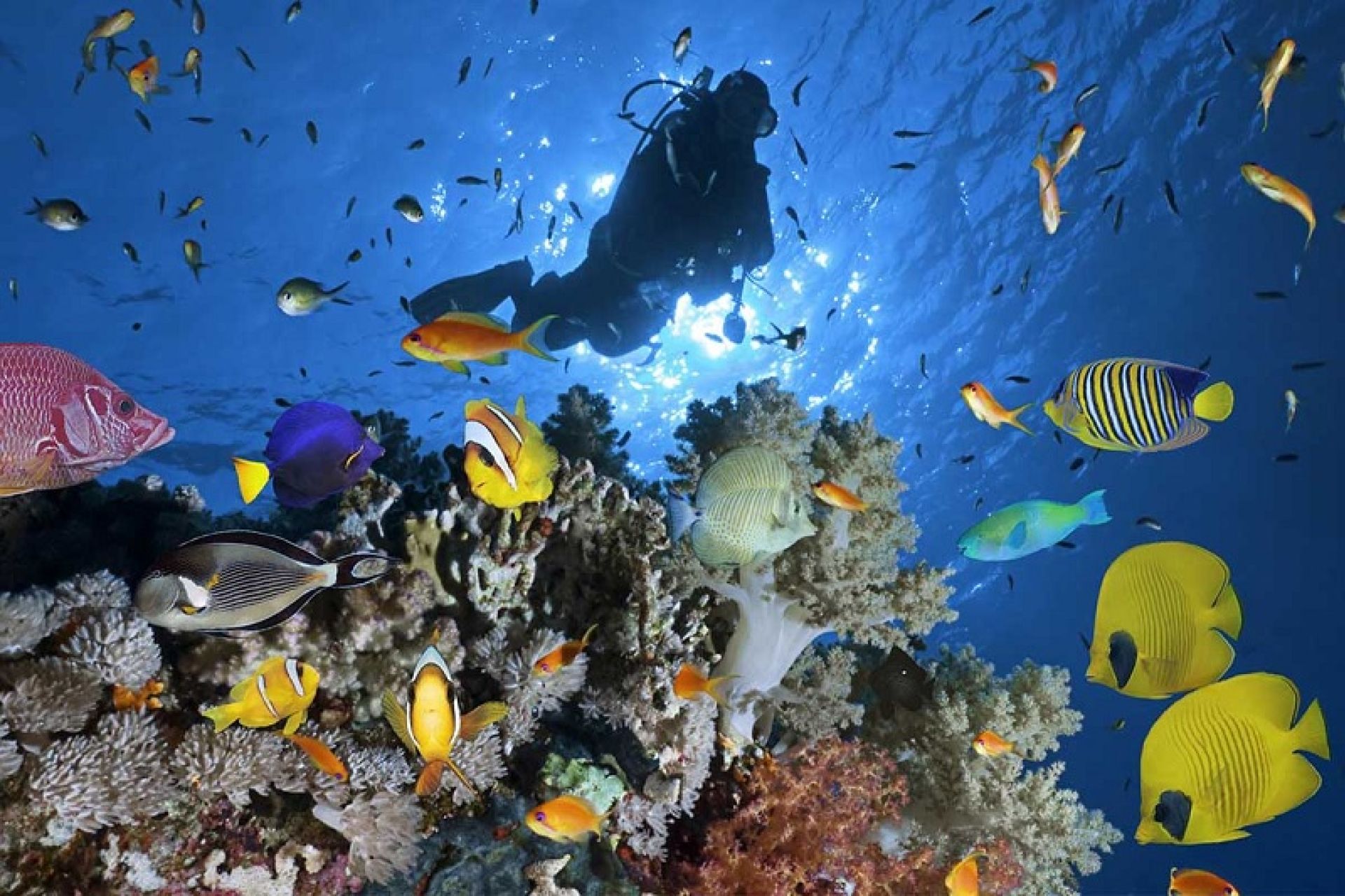 Dolu Dolu Nil’den Kızıldeniz’e  Kahire & Sharm El Sheikh Rotası